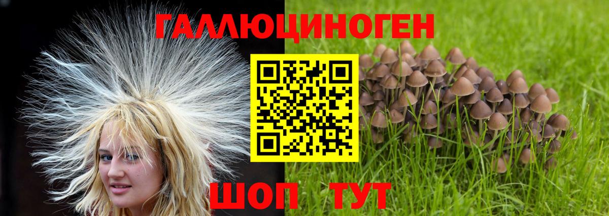 Братск  Псилоцибиновые грибы мицелий  Вход с VPN 